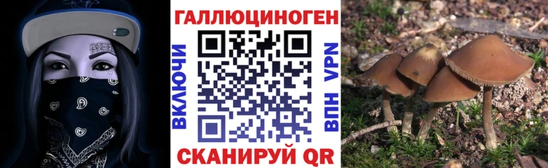 Галлюциногенные грибы MAGIC MUSHROOMS  купить   Омск 